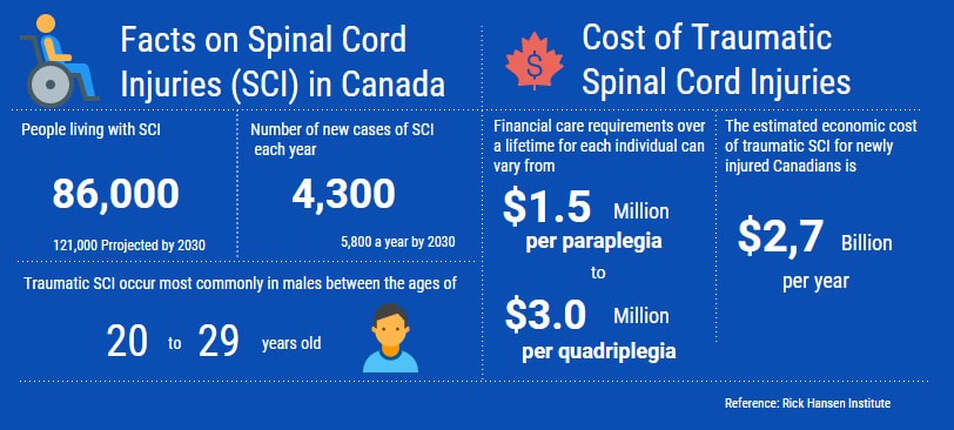 Spinal Cord Injury at a glance